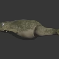 3D Rendered Greenish Yellow Frog With Mossy Texture And Reflection On Dark Smooth Surface