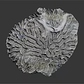 Coral Marine Animal With Intricate Branching Structure In Ocean Habitat