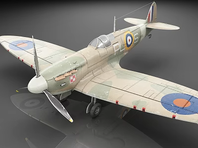 Detailed Vintage Military Airplane Model With Camouflage Paint Propeller And Round Insignia 3d model