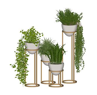 Modern Potted Plant Green Plant Green Rose Ornaments Bonsai 3d model