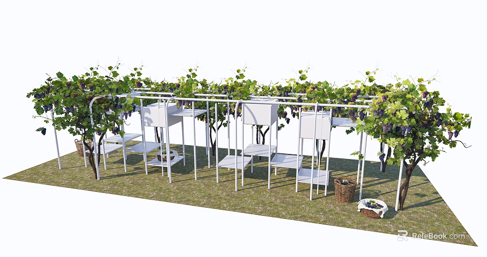 Outdoor White Metal Pergola With Grape Vines Seats Tables And Grass 3d model 
