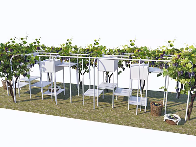 Outdoor White Metal Pergola With Grape Vines Seats Tables And Grass 3d model