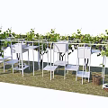 Outdoor White Metal Pergola With Grape Vines Seats Tables And Grass