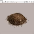 Dried Flowers And Grass Pile With Natural Fibrous Texture And Organic Look