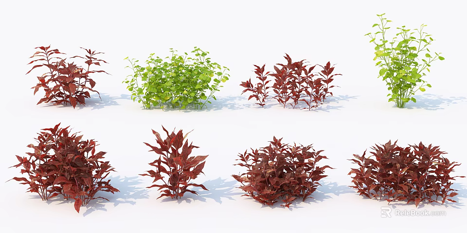 Colorful Garden Shrubs With Green And Red Foliage For Landscaping Design 3d model 