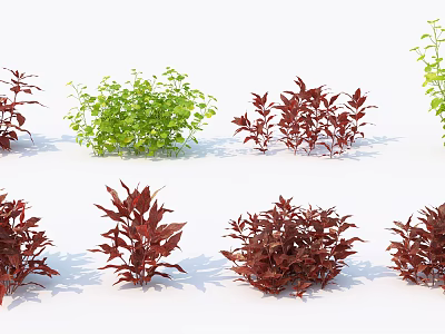 Colorful Garden Shrubs With Green And Red Foliage For Landscaping Design 3d model