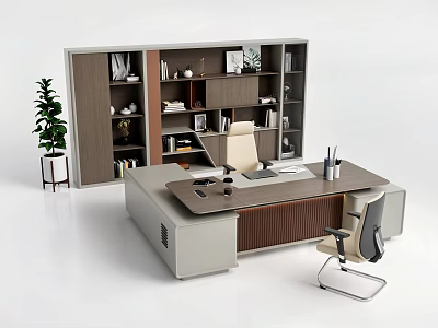Modern Office Desk With Office Chair Bookshelf Books Decorations And Potted Plant 3d model