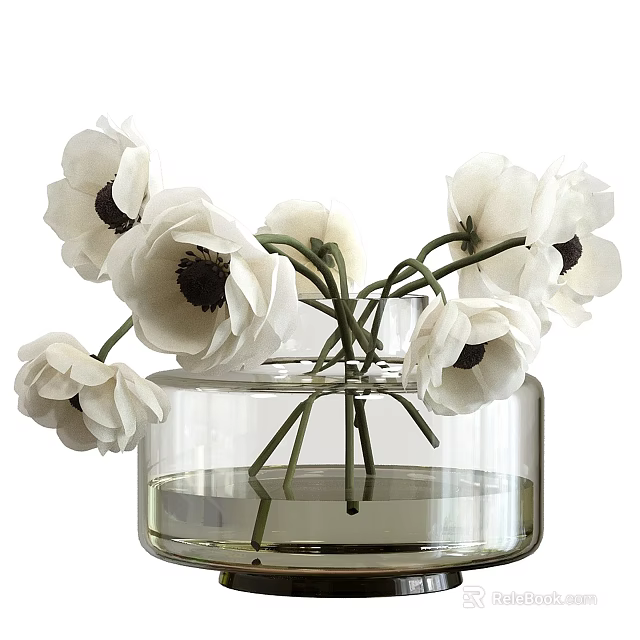 Clear Glass Round Vase With White Flowers Dark Centers Filled With Water For Home Decor 3d model 