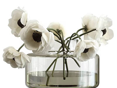 Clear Glass Round Vase With White Flowers Dark Centers Filled With Water For Home Decor 3d model
