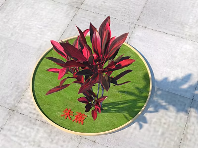 Ornamental Tree with Red Purple Leaves on Green Grass in Circular Planter on Paved Surface 3d model