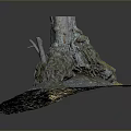 Natural Tree Stump with Exposed Roots and Green Moss on Forest Ground