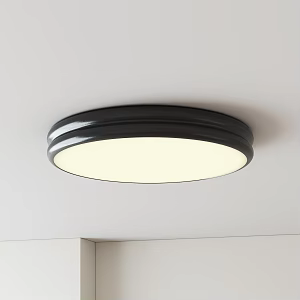 Modern minimalist ceiling lamp 3d model