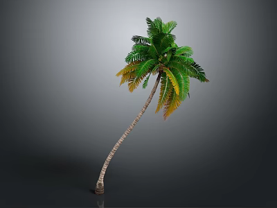 Tropical Palm Tree With Curved Trunk Green Leaves And Yellow Edges 3d model