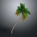 Tropical Palm Tree With Curved Trunk Green Leaves And Yellow Edges