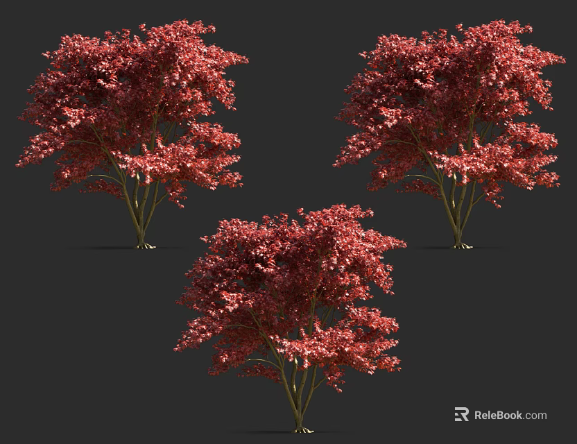 Three Ornamental Arbor Trees With Lush Red Foliage In Landscape 3d model 