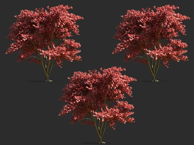 Three Ornamental Arbor Trees With Lush Red Foliage In Landscape 3d model