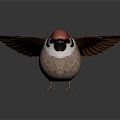 Modern sparrow, finch, bird 3d model