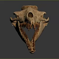 Detailed Crocodile Skull Skeleton Displaying Sharp Teeth And Anatomical Structure 3d model