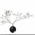 Bonsai Plants In Black Spherical Pots With Slender Branches And Small Leaves