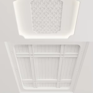 American ceiling 3d model