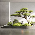 Indoor Landscape With Pine Tree Rocks Stone Lantern Green Plants And Gray Walls