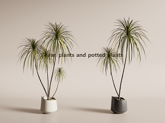 potted plant green plant potted plant green plant 3d model