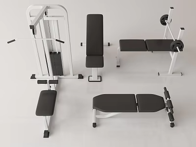 Modern Home Gym Sports Equipment With Weight Bench And Seated Training Machines 3d model