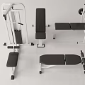 Modern Home Gym Sports Equipment With Weight Bench And Seated Training Machines
