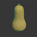 Fresh Light Yellow Butternut Squash Isolated With Spots On Black Background