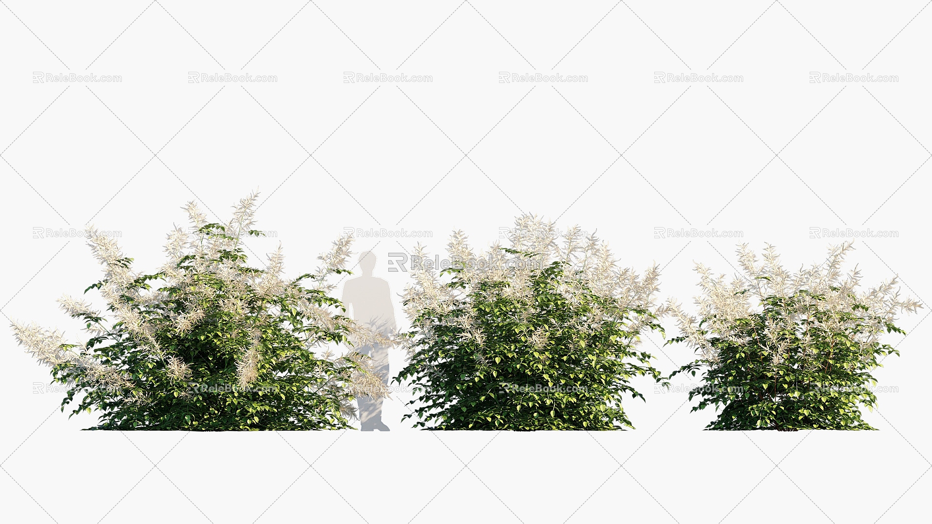 flowers flowers flowers shrubs 3d model