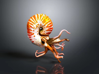 Nautilus With Orange And White Spiral Shell And Curled Tentacles On Dark Background 3d model