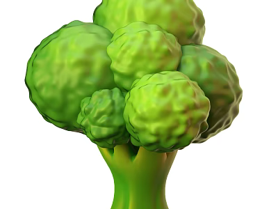 Fresh Green Broccoli a Nutritious Vegetable with Vibrant Florets Ideal for Healthy Meals 3d model
