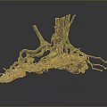 Tree Root System With Exposed Wooden Roots And Natural Rock Base 3d model