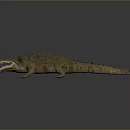 Realistic Crocodile Reptile With Open Mouth Sharp Teeth And Scaly Skin Texture