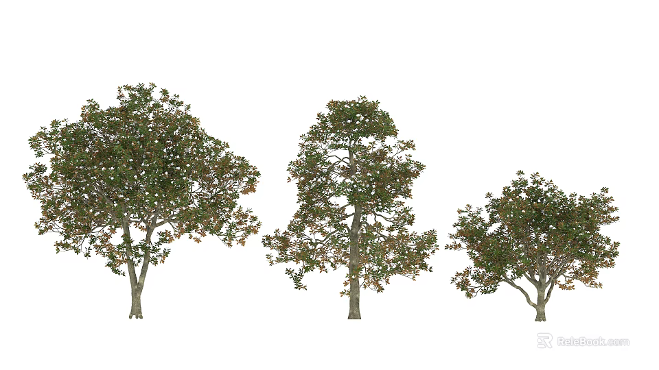 Three Arbor Trees With Lush Green Foliage And Various Sizes In Natural Form 3d model 
