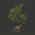 Tree With Green Leaves And Wooden Treehouse Featuring Ladder And Small Roof