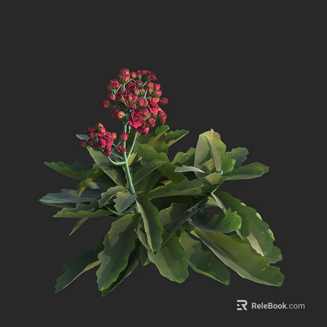 Vibrant Red Flowers With Lush Green Leaves In Natural Plant Arrangement 3d model 