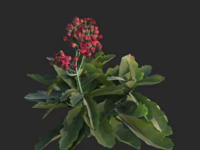 Vibrant Red Flowers With Lush Green Leaves In Natural Plant Arrangement 3d model