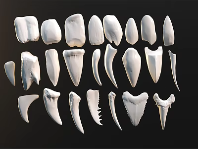 Various Shapes of Human and Animal Teeth Collection on Black Background 3d model