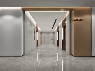 modern elevator hall standard floor elevator hall 3d model