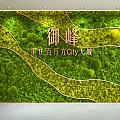 Green Plant Feature Wall with Golden Inscriptions and Curved Lines in Chongqing