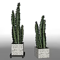 Two Cactus Bonsai Potted Plants With Square Marble Pots On White Background For Indoor Decor