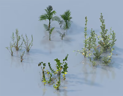 Modern Shrub Shrub 3d model