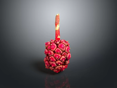 Close-Up Of Fresh Red Fruit With Spiky Surface And Stem On Dark Background 3d model