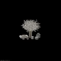 Elegant Decorative Ornament Set With Dried Flower Bouquet Vase Incense Sticks And Candles