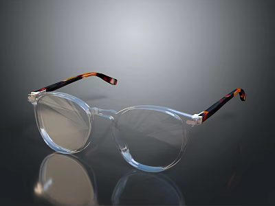 Clear Frame Eyeglasses With Tortoiseshell Patterned Temples For Daily Use 3d model