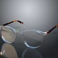Clear Frame Eyeglasses With Tortoiseshell Patterned Temples For Daily Use