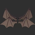 Flying Animal Bat with Symmetrical Brown Wings and Visible Skeletal Structure on Gray Background