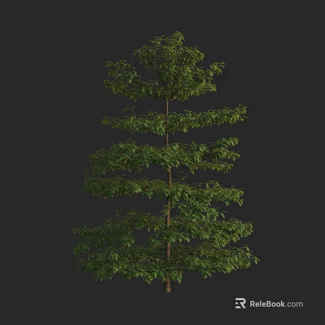 Tall Arbor With Layered Lush Green Foliage And Straight Trunk 3d model 