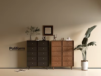 Poliform Black Brown Console Side Cabinet With Drawer Design Decorative Plants Ornaments Neutral Wall Background 3d model